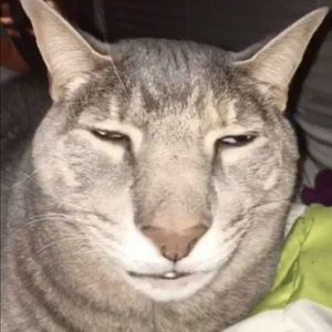 Meet your Posher, Roberto